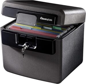 2. SentrySafe Fireproof and Waterproof Safe