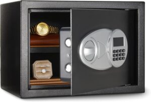 Amazon Basics Steel Security Safe and Lock Box